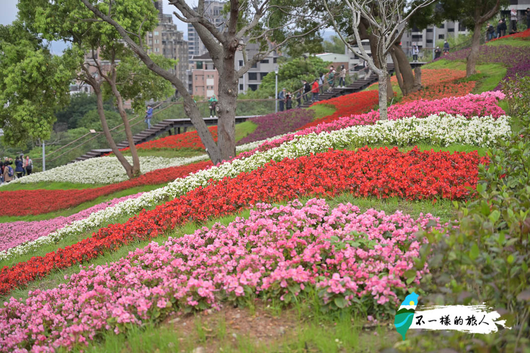 北投 社三層崎公園花海 台北小富良野 位置 公車 交通方式大公開 不一樣的旅人