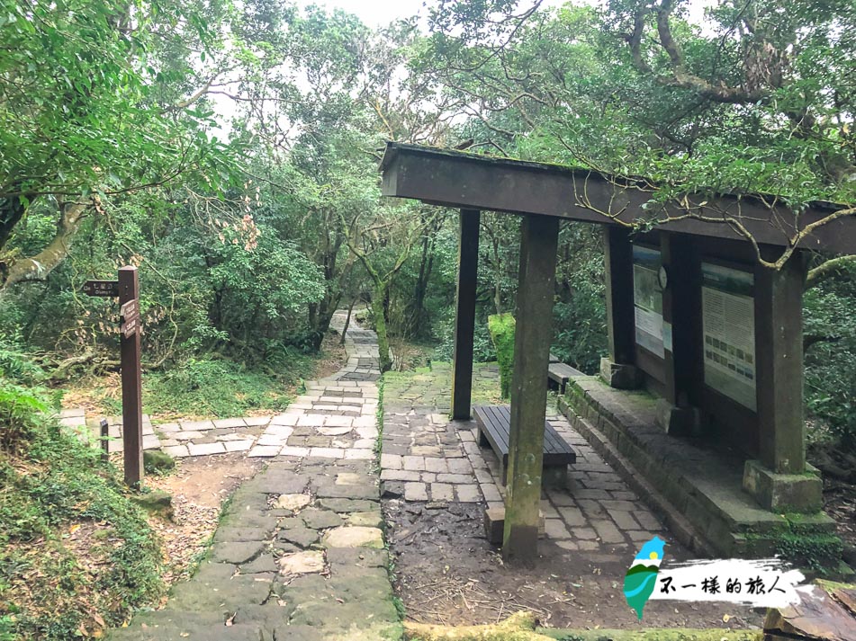 陽明山 七星山東峰 主峰步道 交通方式 登山路線全攻略 欣賞絕美夕陽景色 不一樣的旅人