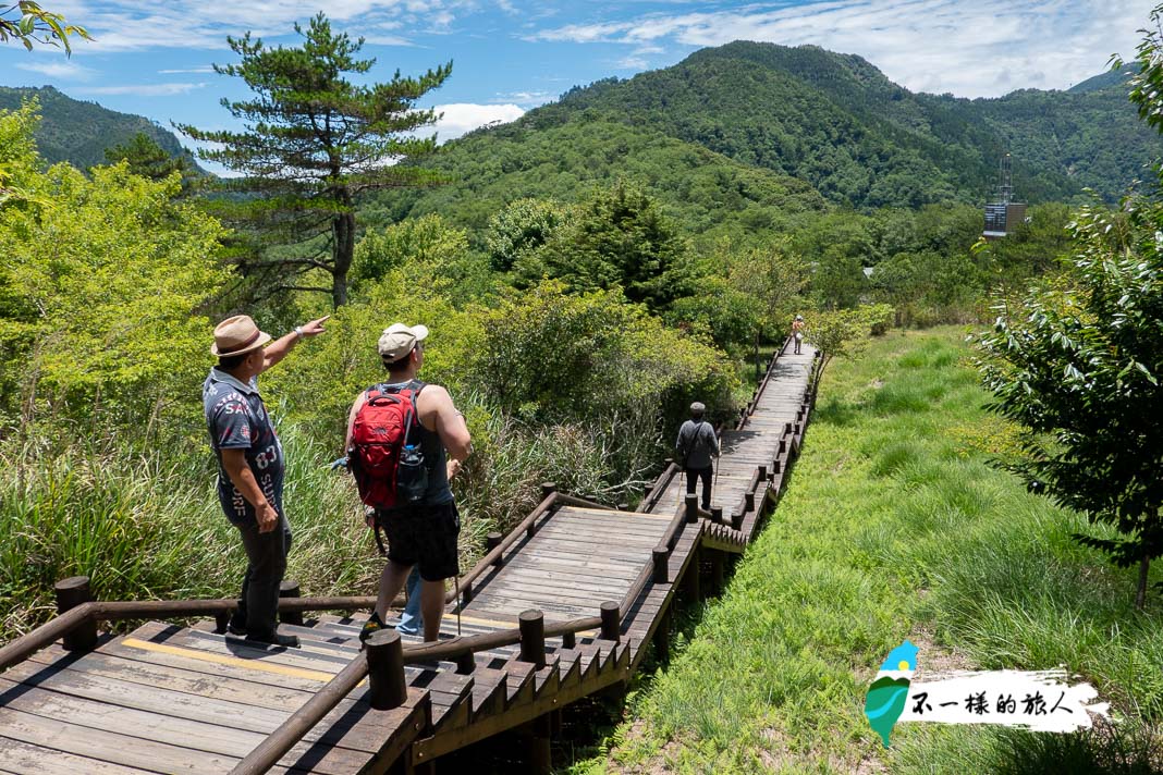 苗栗 雲霧步道 山椒魚生態中心 遇見雪山聖稜線之美 不一樣的旅人