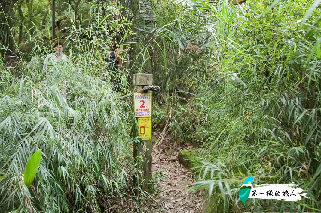 三峽鳶山步道-往鳶山彩壁