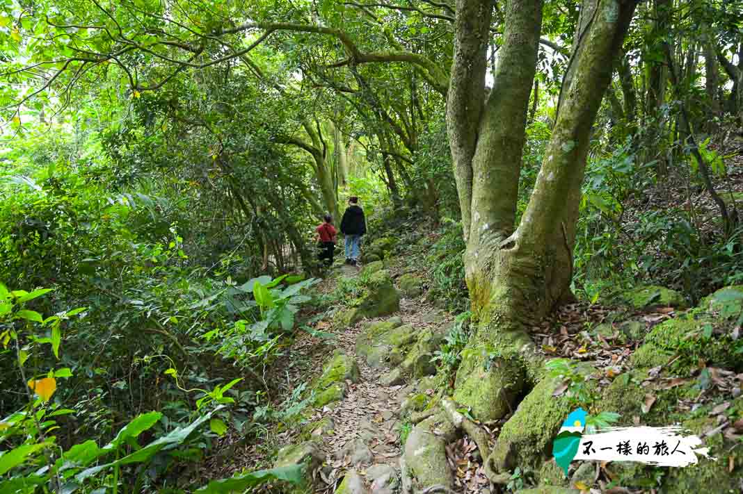 三峽鳶山步道-往鳶山彩壁