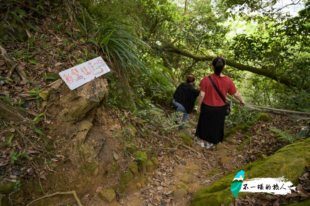 三峽鳶山步道-往鳶山彩壁